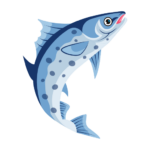 fish-1