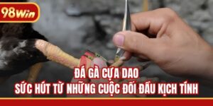 Đá Gà Cựa Dao - Sức Hút Từ Những Cuộc Đối Đầu Kịch Tính