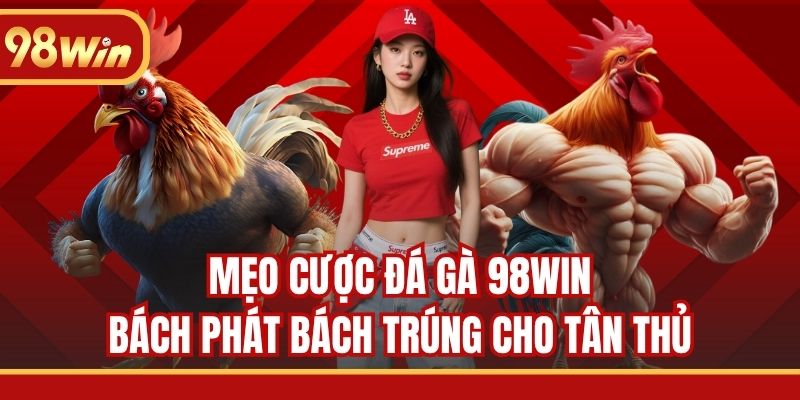 Mẹo cược đá gà 98WIN bách phát bách trúng cho tân thủ